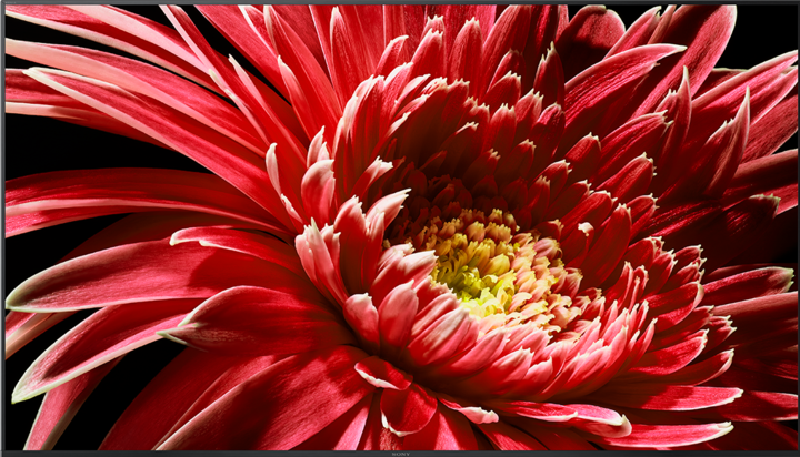 Produktbild Sony KD85XG8596 (85", LCD, 4K, 2019)