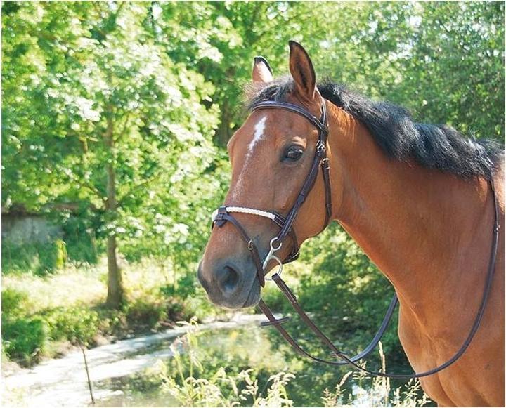 Image du produit TdeT Muserolle cheval en corde et cuir