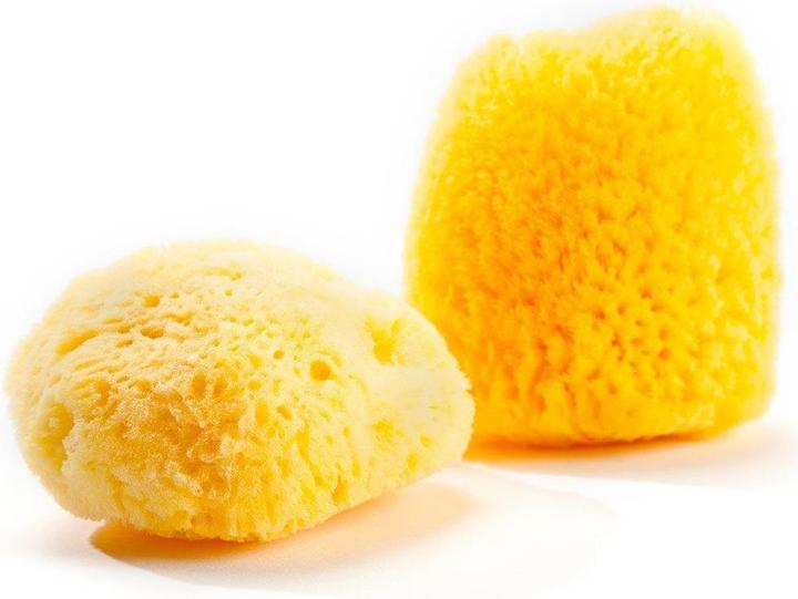 Actual product image Grünspecht Natural sponge Zimocca