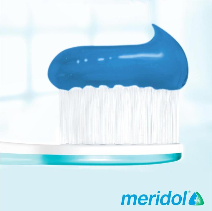 Image du produit Meridol Protection Gencives & Haleine Fraîche (75 ml)