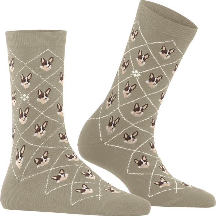 Immagine prodotto Falke Corgi SO (36 - 41)