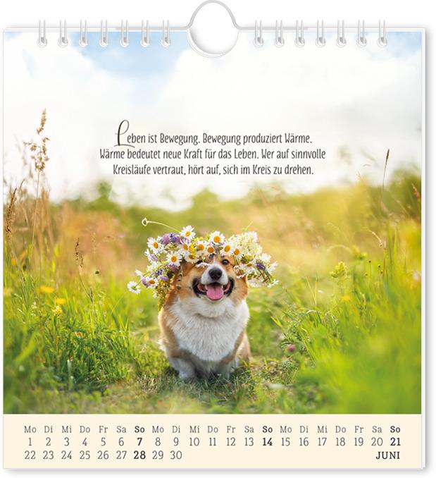 Actual product image Postkartenkalender 2026 Lebenszeichen