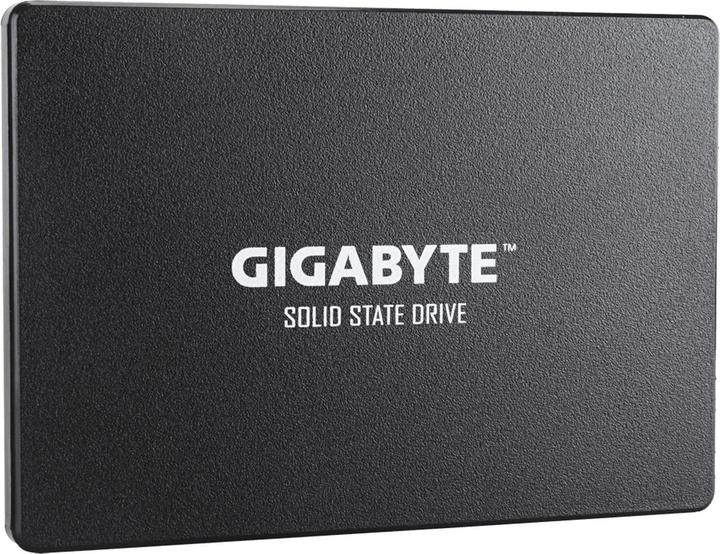 Image du produit Gigabyte GP-GSTFS31256GTND (256 Go, 2.5")