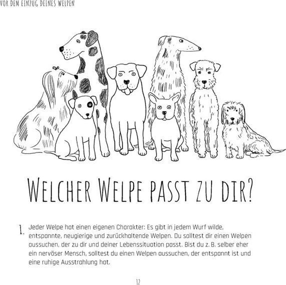 Produktbild Die Welpen-Fibel. Junge Hunde im ersten Lebensjahr: Sozialisierung, Erziehung, Beschäftigung (Deutsch, Karin Jansen, 2018)