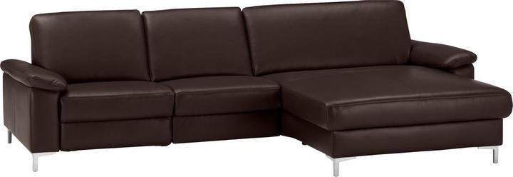 Cat. 160, La Tempra chestnut