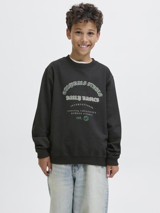 Image du produit Jack & Jones Junior Pullover MEADOWS Sweatshirt (140)