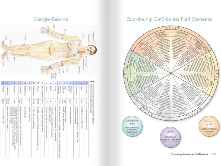 Image du produit Medizin zum Aufmalen: Heilen mit Zeichen und Symbolen. Das Basisbuch Neue Homöopathie (Allemand, Roswitha Stark, 2023)