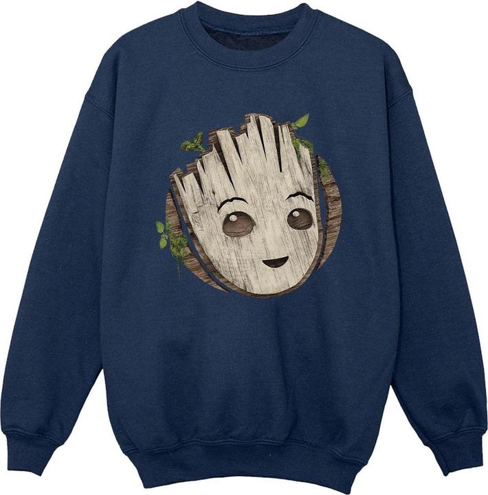 Produktbild I Am Groot Wooden Head Sweatshirt Jungen (116)