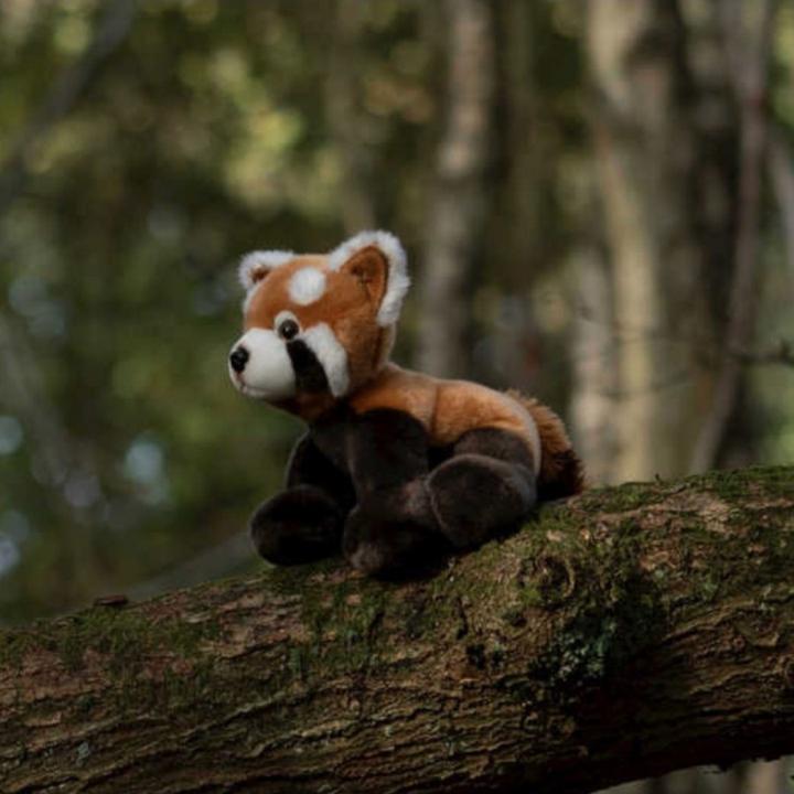 Produktbild Doudou et Compagnie Les Authentiques Panda (13 cm)