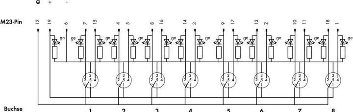 Produktbild Wago Sensor/Aktorbox passiv M12-Ver (Verteiler)