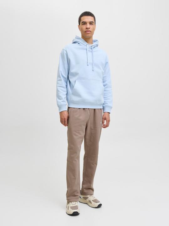 Actual product image Jack & Jones Relaxed Fit Relaxed Fit Hosen Relaxed Fit Hosen (M)