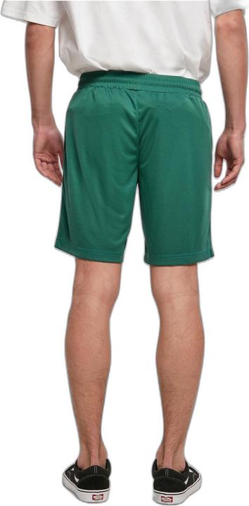 Image du produit Starter Team Mesh Shorts (M)