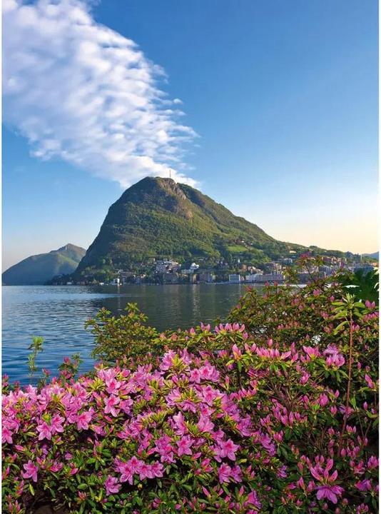 Image du produit Planificateur suisse 2025 (23 x 31,5 cm)