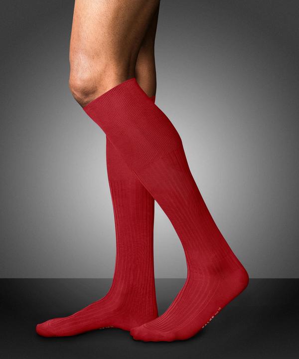 Immagine prodotto Falke No. 10 KH (45 - 46)