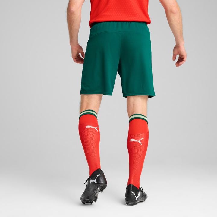 Actual product image Puma FPF Shorts Replica (XS)