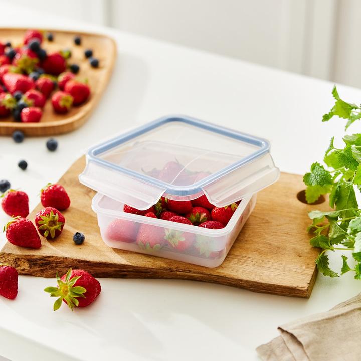 Actual product image Rotho Clic & Lock (0.80 l)