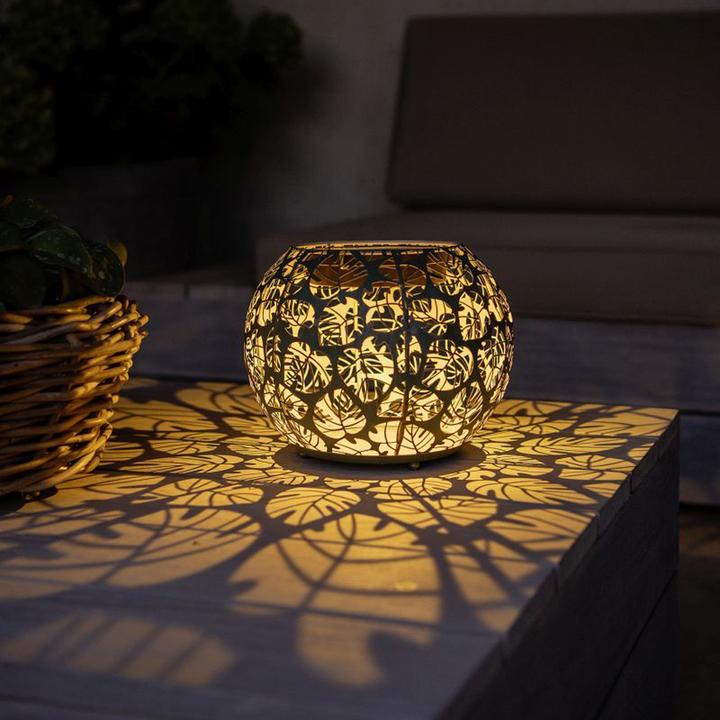 Image du produit STT Monstera