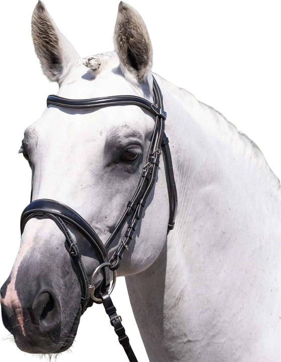 Image du produit Premier Equine Cassano