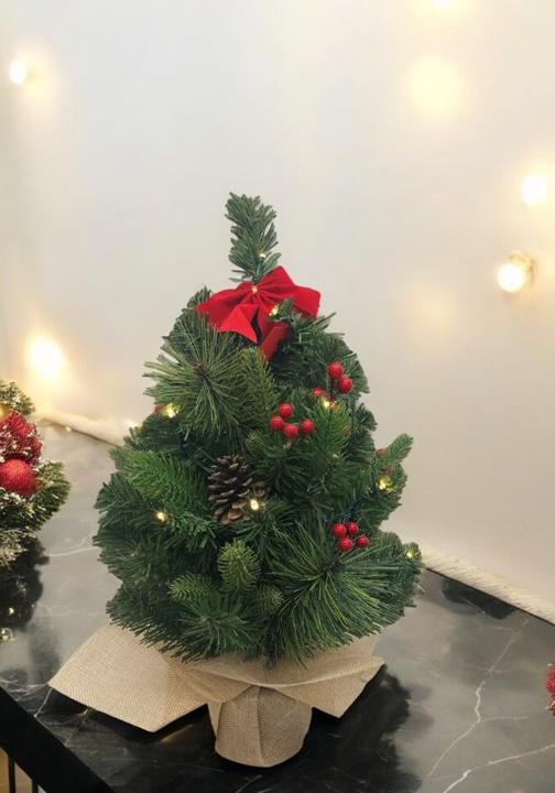 Immagine prodotto GuGus Albero di Natale