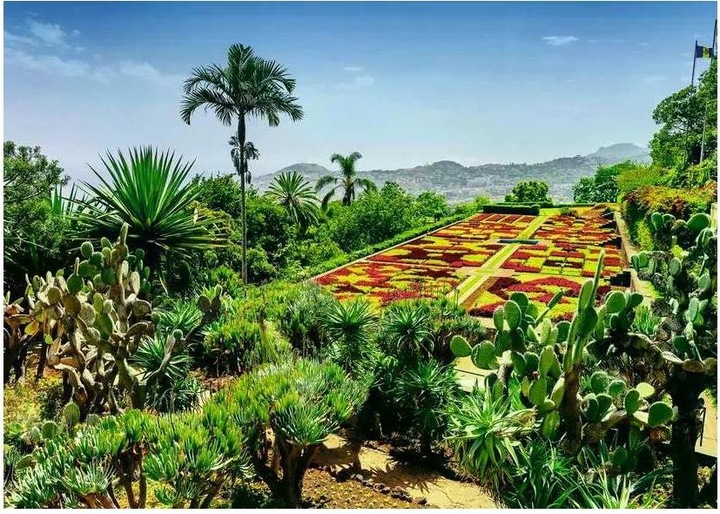 Productafbeelding Ravensburger Puzzel 12000853, Prachtige tuinen - Botanische tuin, Madeira - 1000 stukjes (1000 onderdelen)