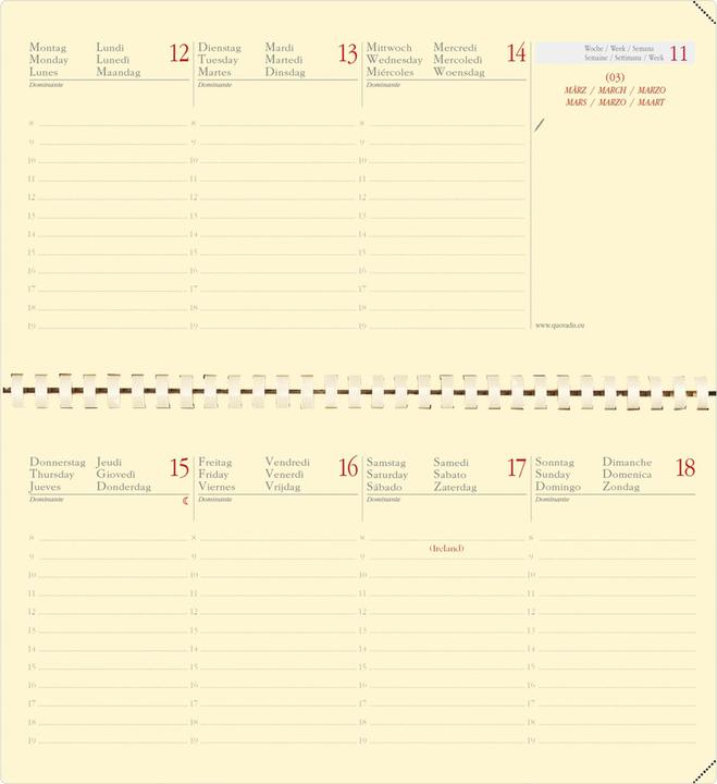 Actual product image Quo Vadis Planital MS Impala 2020 QV422196 6 pcs. ass. 1W/S. 8.8x17cm (A6, 1 week / 2 pages)