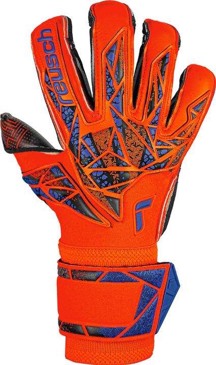 Actual product image Reusch Attract Gold X (7.5)