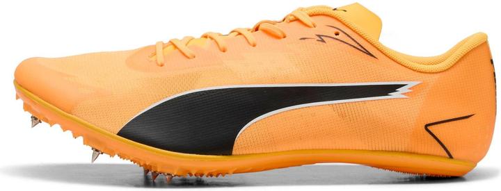 Image du produit Puma evoSPEED Brush 7 (38)