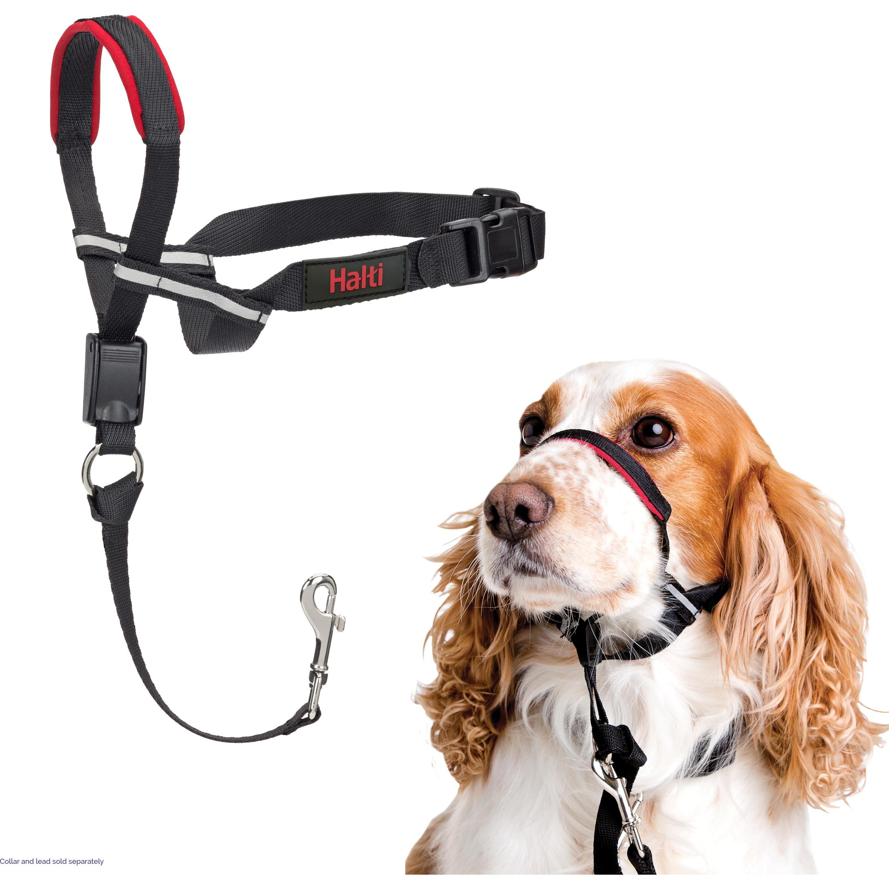 Meilleurs prix pour Company of Animals Halti Optifit (M, Chien), Collier + laisse