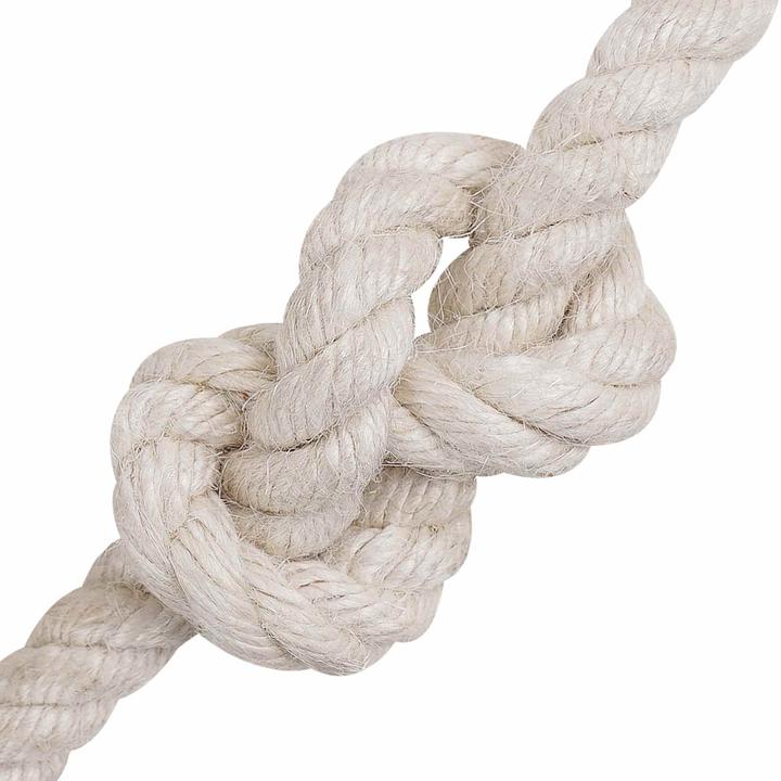Image du produit vidaXL Natürliches Seil (100 m)