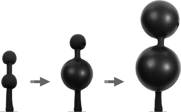 Image du produit Rimba Plug anal gonflable avec double ballon et pompe