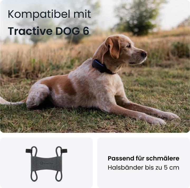 Actual product image Tractive GPS Dog 6 - Fabric Clips (S, Dog, Dog sport)