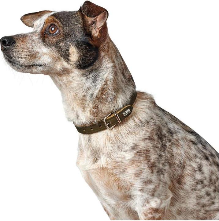 Produktbild Hunter Halsband Aalborg (38, 39, 40, 41, 42, 43, 44, 45, 46, 47, Hund, Hundesport)