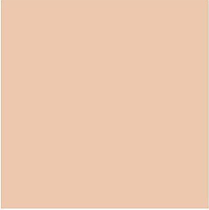 Produktbild Estée Lauder Este Lauder Double Wear Stayinplace Spf 10 30ml 1n1 Ivory Nude (1N1, Ivory Nude)