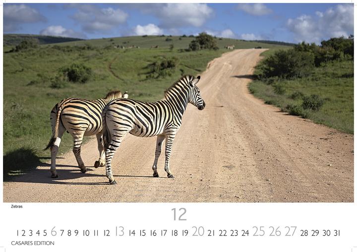 Produktbild Sdafrika 2026 S 24x35 cm (Spezial)