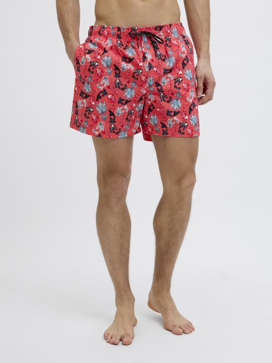 Actual product image Jack & Jones Regular Fit Badeshorts Badeshorts