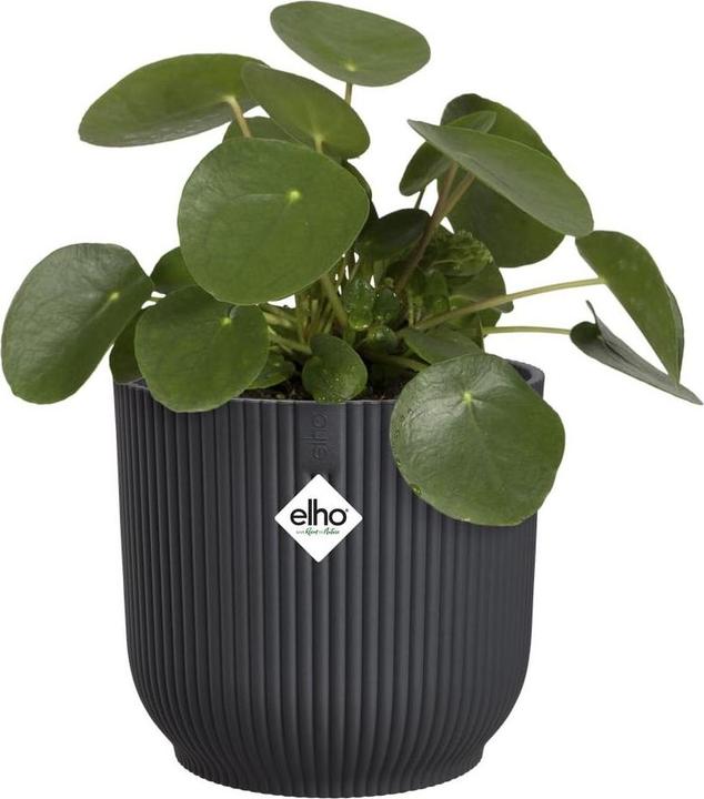 Produktbild Elho Pflanzengefäss Vibes fold ø 22 cm (22 x 20 cm)