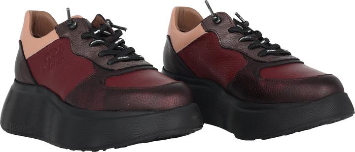 Image du produit Wonders Roma 30 (37)