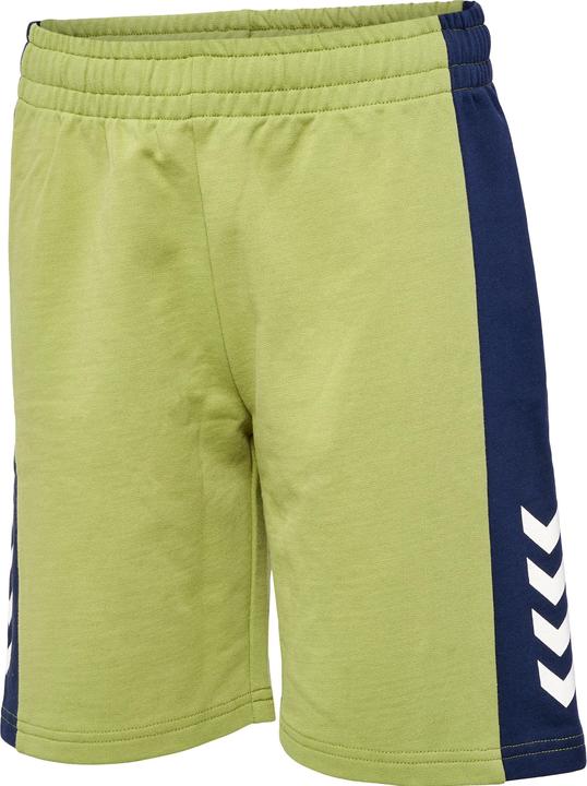 Image du produit hummel Hmlrush Block Shorts (140)