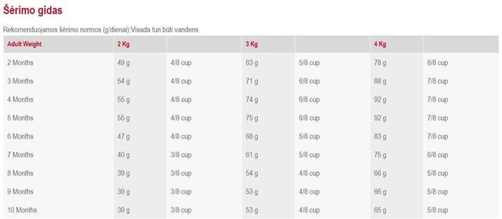 Produktbild Royal Canin Junior Yorkshire Terrier (Junior, 1 Stk., 500 g)