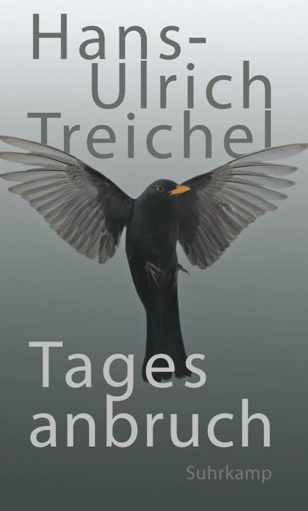 Produktbild Tagesanbruch (Deutsch, Hans-Ulrich Treichel, 2016)