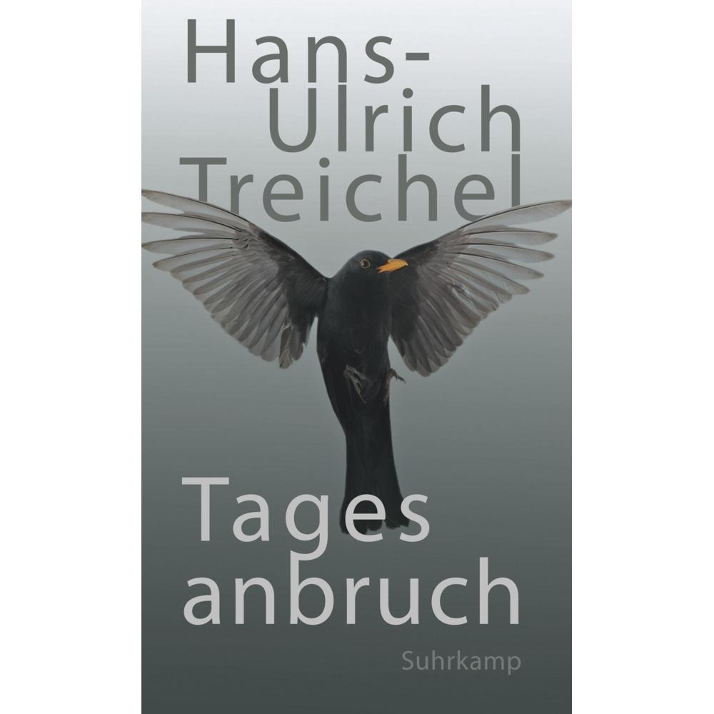 Tagesanbruch, Belletristik von Hans-Ulrich Treichel