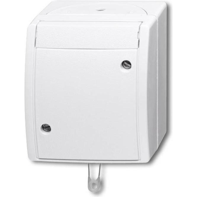 Busch-Jaeger Zugschalter Aus-und Wechselschaltung 2CKA001383A0143, Taster + Schalter, Weiss