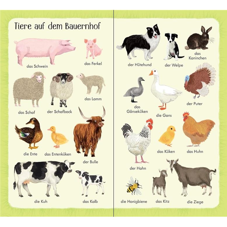Thumbnail - 199 Dinge auf dem Bauernhof, Kinderbücher von Holly Bathie