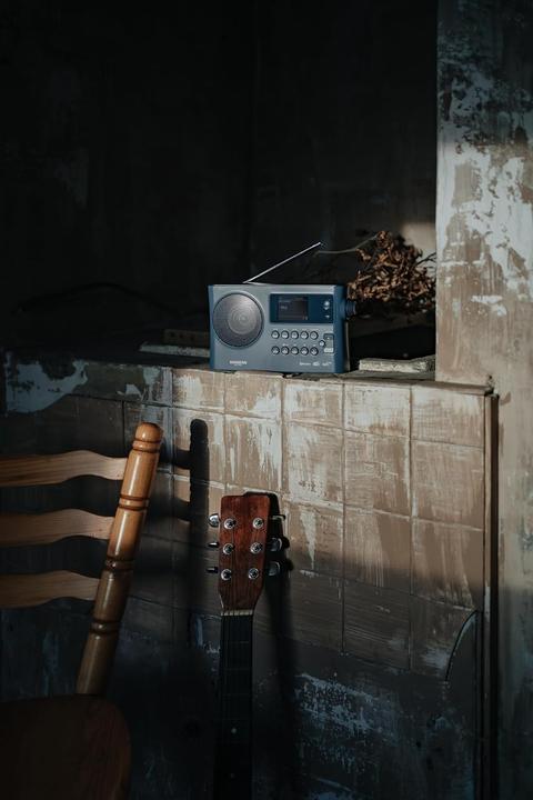 Actual product image Sangean WFR-28BT (DAB+, FM, Web radio, Bluetooth, Wi-Fi)