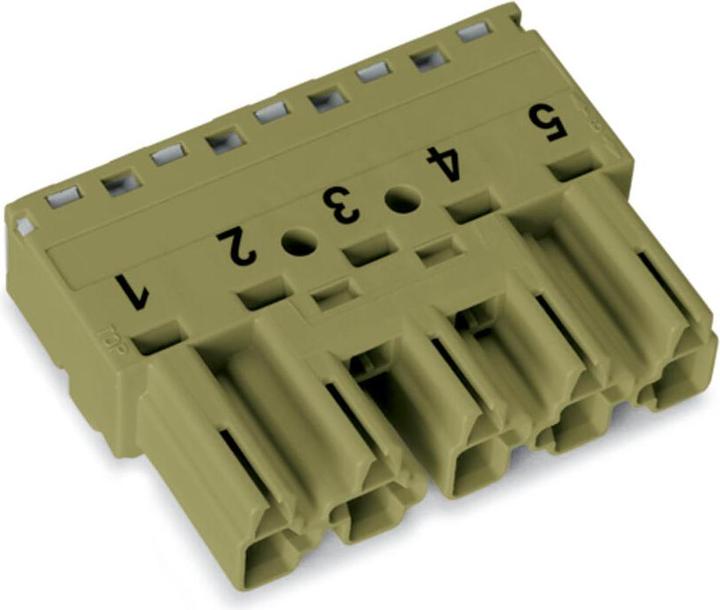 Actual product image Wago Mains connector WINSTA