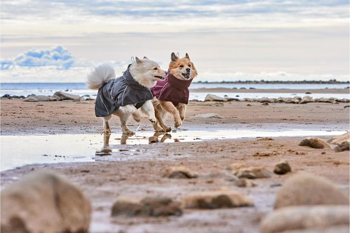 Actual product image Hurtta Mackintosh Mudventure Eco Dark grey, 35 cm (Dog raincoat)