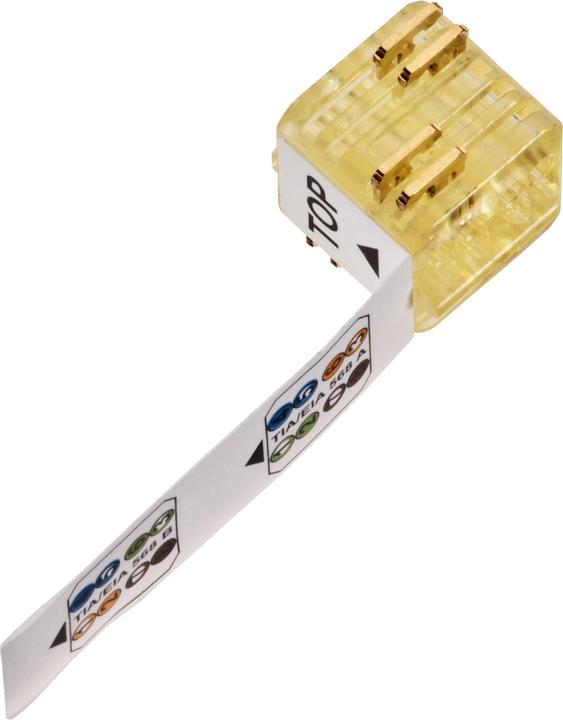 Leoni MegaLine (Câble réseau Connecteur)