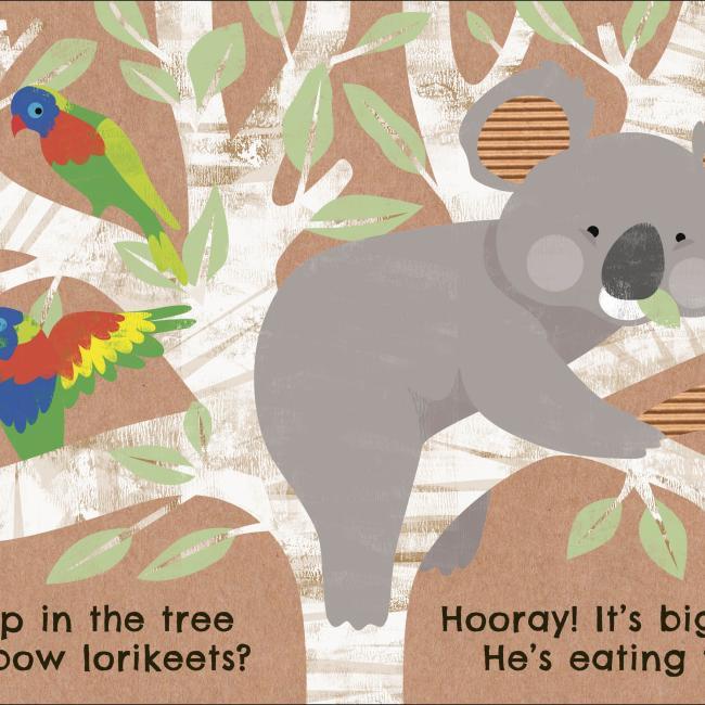 Produktbild Eco Baby Where Are You Koala? (Englisch, 2021)