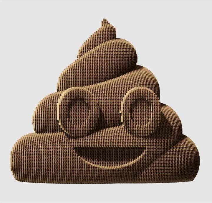 Image du produit Cartonic Poop - Modèle 3D en carton