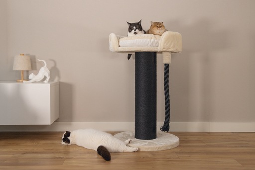 Actual product image Beeztees Tura (100 cm, Brown, Beige)